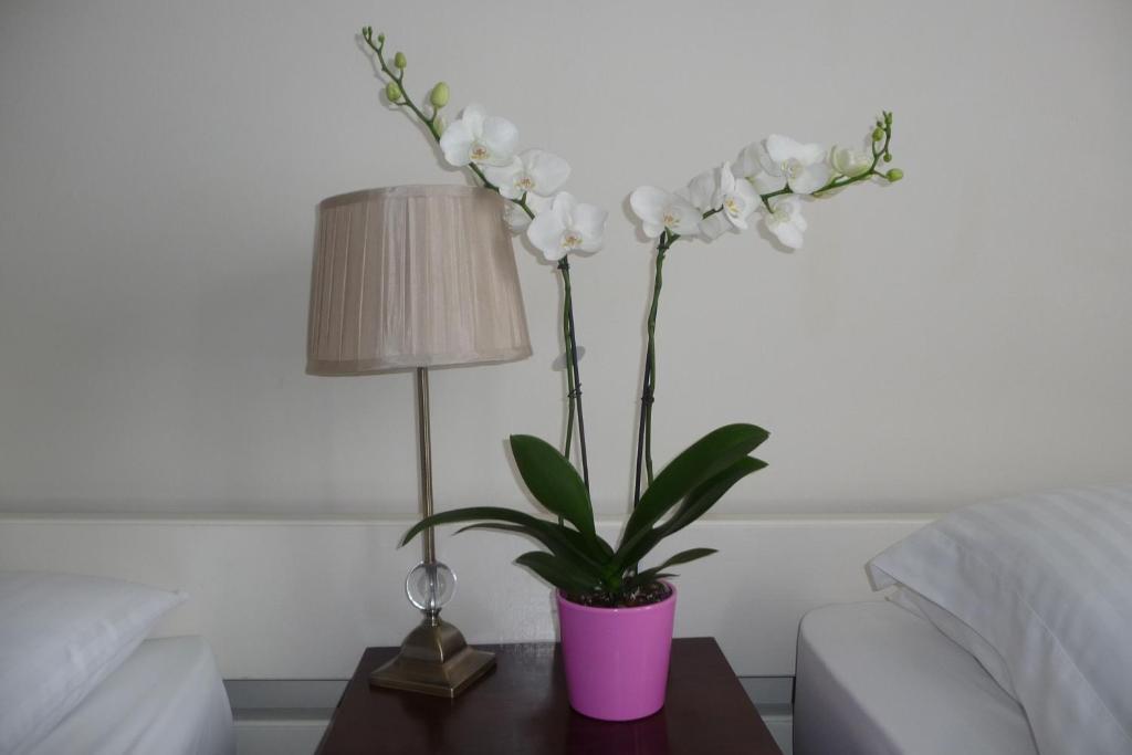 Killarney House Western Road Hotel Cork Kamer foto